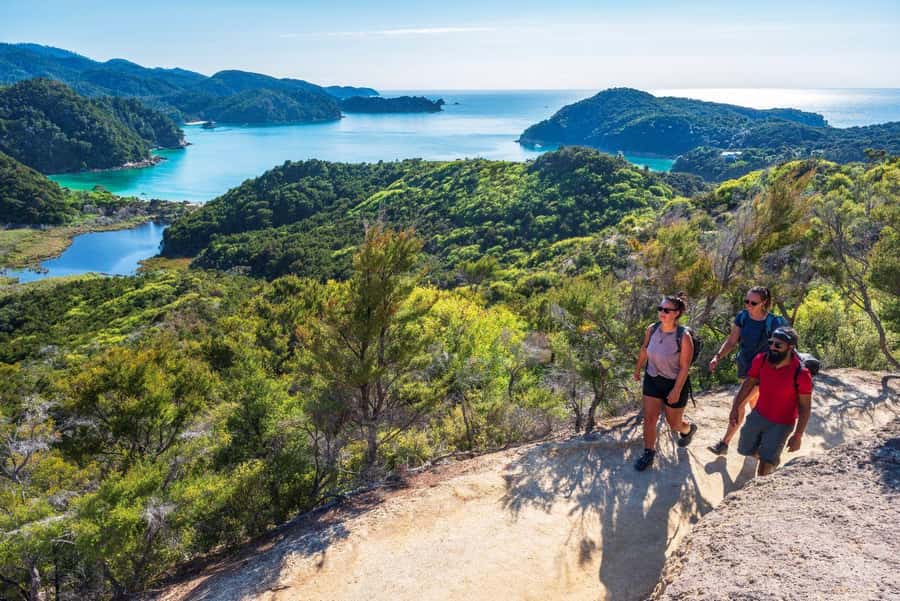 Abel Tasman National Park: Cruise, Kayak, & Hike Tour - Should you book Abel Tasman Water & Walk?
