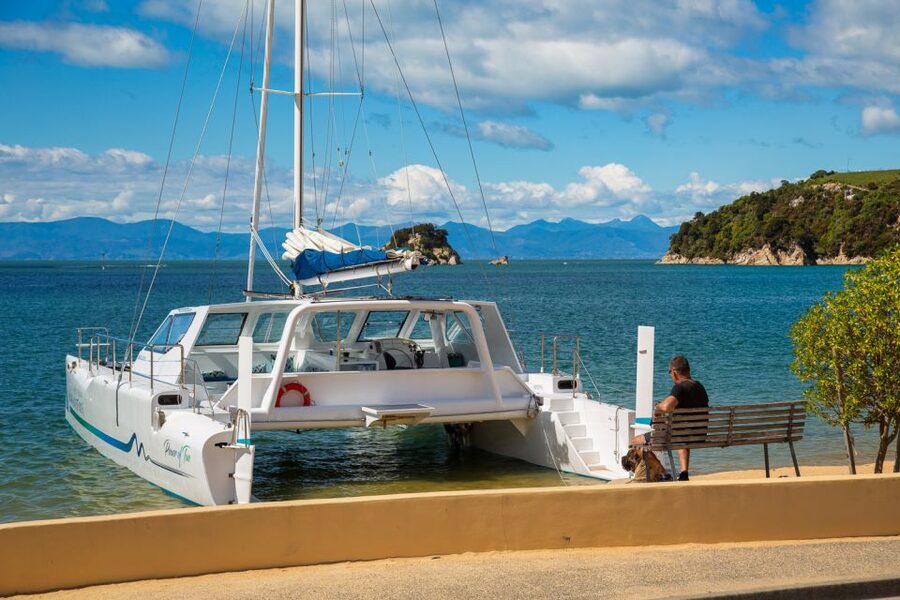Abel Tasman National Park: Day Sailing Adventure with Lunch - Sailing Feel: What It’s Like When the Wind Shows Up (or Doesn’t)