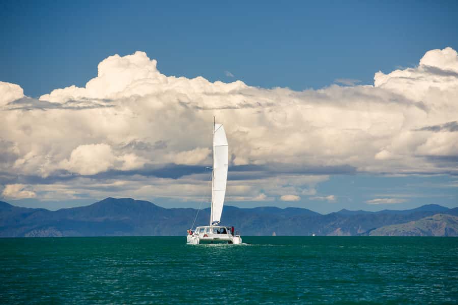 Abel Tasman National Park: Sailing and Self-Guided Walk - Key Things You’ll Notice on This Abel Tasman Sailing + Walk Day