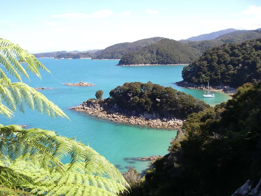 Abel Tasman National Park: Sailing and Self-Guided Walk - Split Apple Rock and Fur Seals: Wildlife Watching That Still Feels Fun