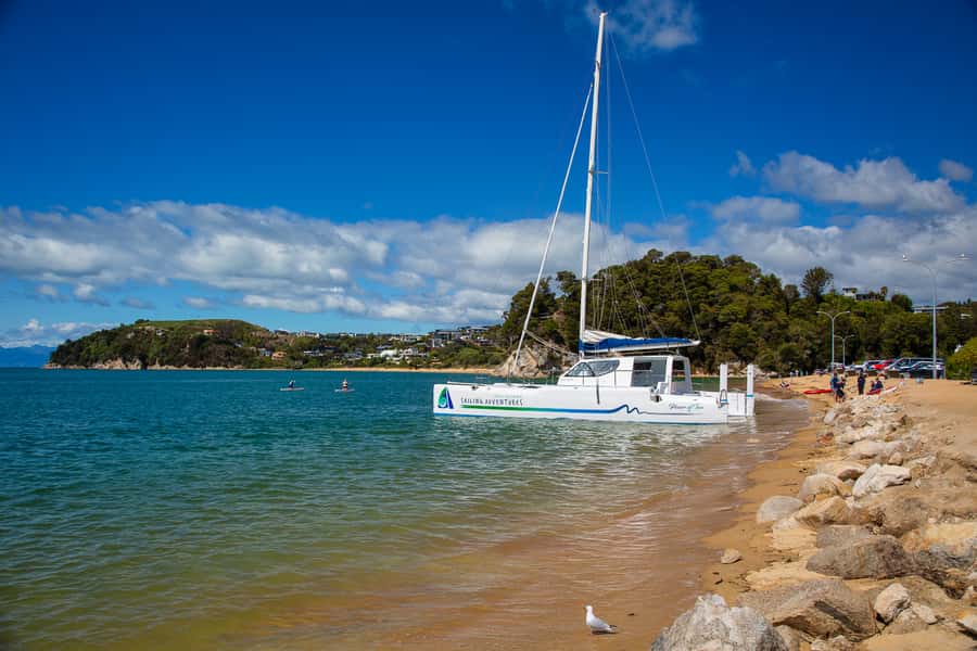 Abel Tasman National Park: Self-Guided Walk & Sailing - Timing and transfers: when you’re walking vs when you’re on the water