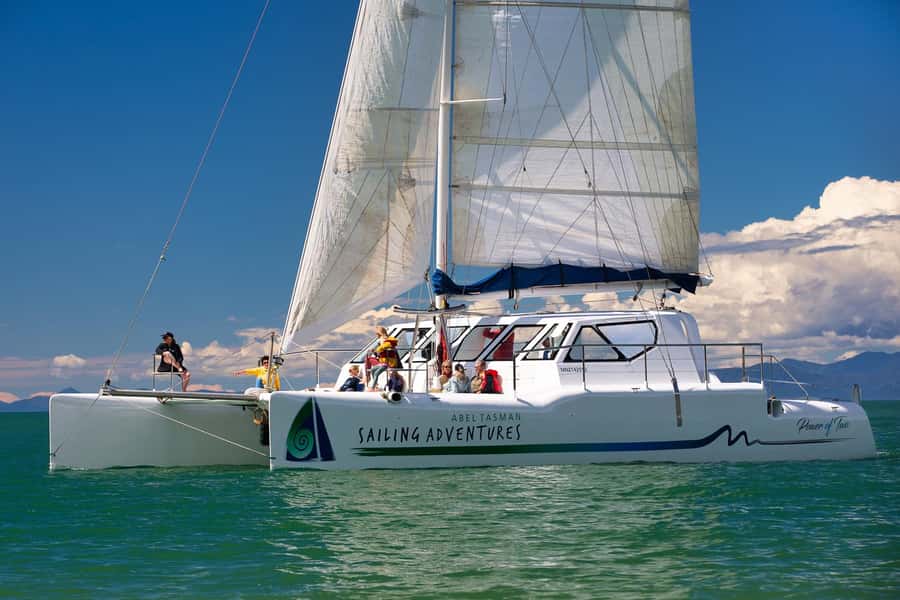 Abel Tasman National Park: Self-Guided Walk & Sailing - Price and value: how $88 fits a walk-plus-sail day