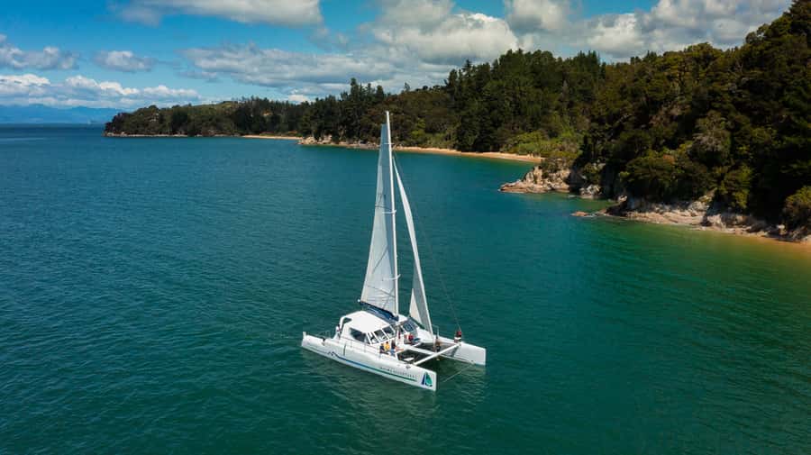 Abel Tasman National Park: Self-Guided Walk & Sailing - What you’ll see on the coastal track: forest, beaches, and Anchorage Bay