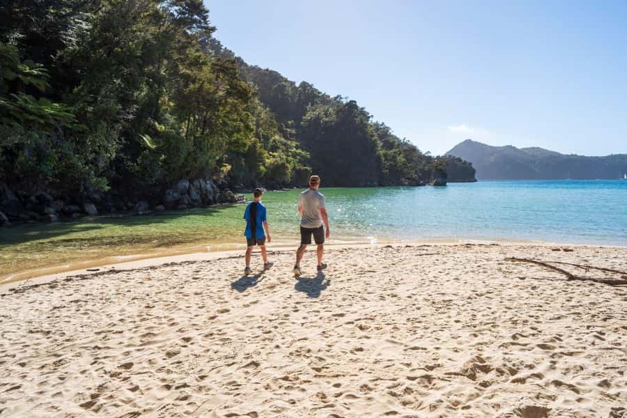 Abel Tasman National Park: Waka & Walk Tour - The vibe: a “team day” with respect baked in
