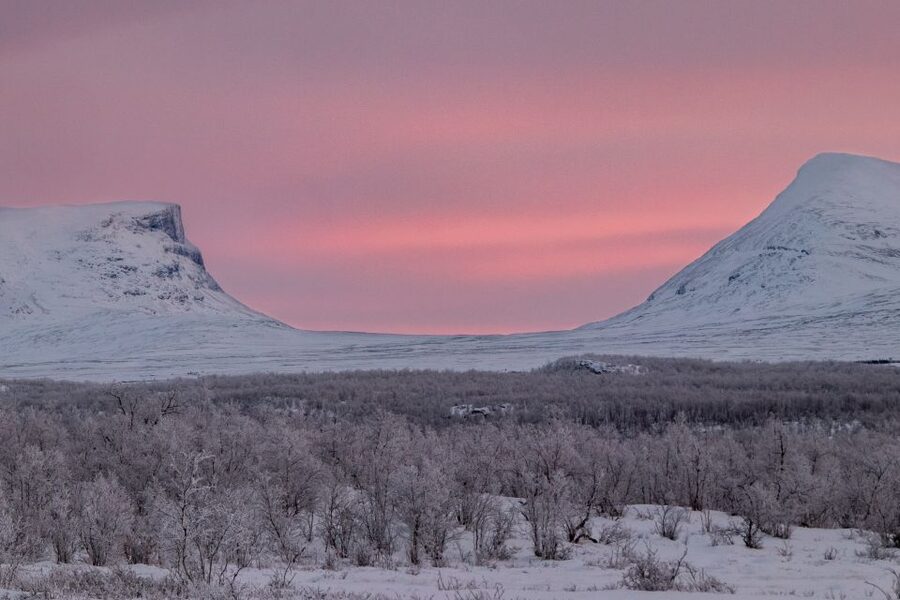 Abisko National Park: Scenic Morning Hike with Transfer - What the guide actually does with the hike