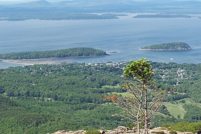 Acadia National Park & Boston 3-Day Tour from NYC | Kids 50% Off - Key things that make this tour work