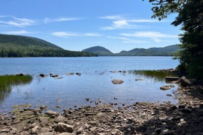 Acadia National Park Premium Specialized E-Bike Rental - The Bikes: Specialized Turbo Como Comfort, Without the Guesswork