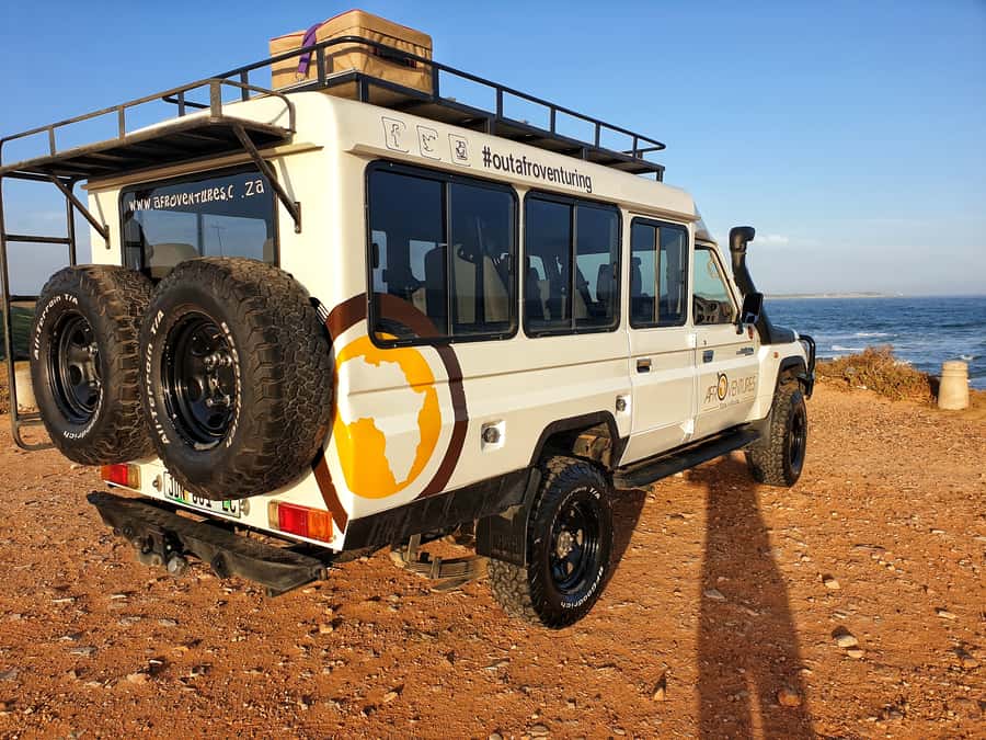 Addo Elephant National Park All Inclusive Full-Day Safari - Second game drive: second chances for Big Five moments