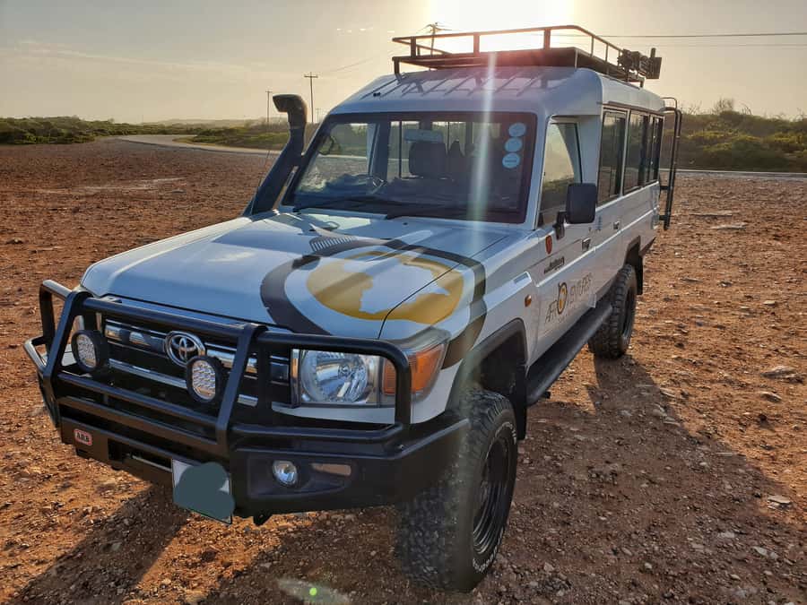Addo Elephant National Park All Inclusive Full-Day Safari - Comfort, photo angles, and what your Jeep day actually feels like