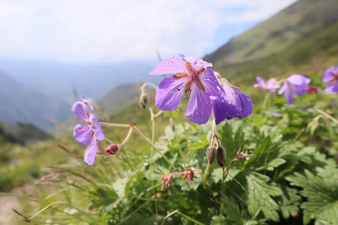 Adventure & Hike in Ala Archa National Park & Bishkek City Tour - Practical tips for comfort on the trail and around Bishkek