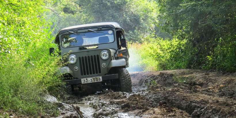 Ahangama: Udawalawe National Park Safari with Hotel Pickup - Key things to know before you go