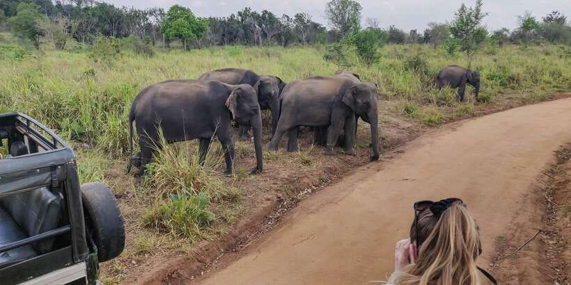 Ahangama: Udawalawe National Park Safari with Hotel Pickup - Ahangama to Udawalawe: the big advantage is the door-to-door plan