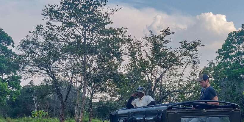 Ahangama: Udawalawe National Park Safari with Hotel Pickup - The 3-hour jeep safari: how the route supports better animal spotting