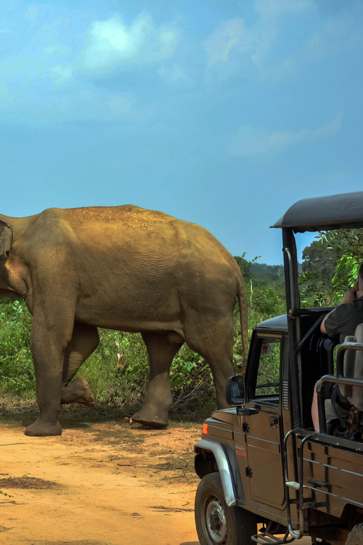 Ahangama: Udawalawe National Park Safari with Hotel Pickup - Vehicle comfort and the “handover” experience
