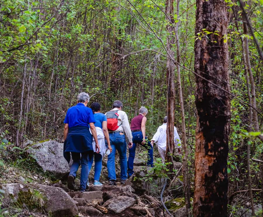 Albany: Guided Granite Skywalk in Porongurup National Park - Key highlights worth getting excited about