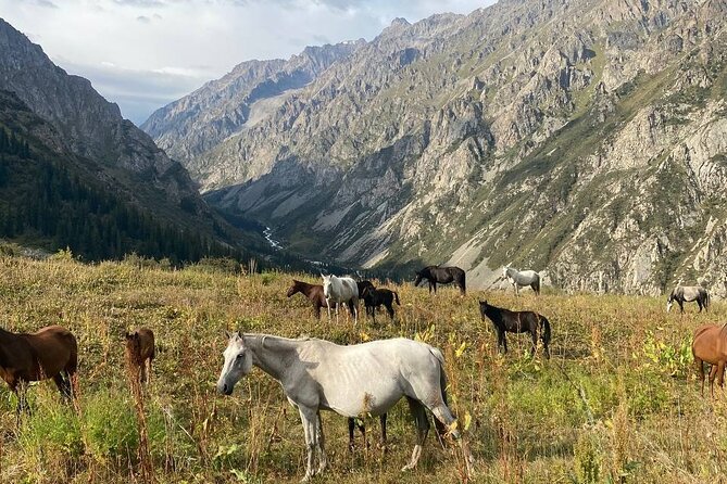 All in one-day: Bishkek city tour and Ala-Archa National Park - Bishkek’s Osh Bazaar: culture, shopping time, and the day-of-week wrinkle