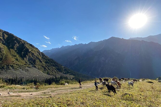 All in one-day: Bishkek city tour and Ala-Archa National Park - Price and logistics: is $99 worth your one day?