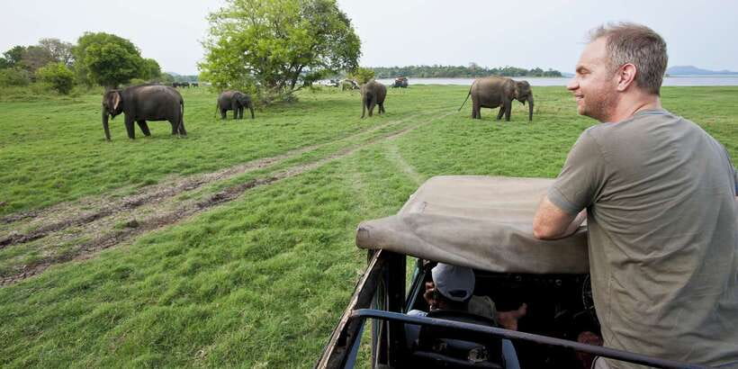 All-Inclusive Minneriya National Park Afternoon Safari - Minneriya Afternoon Timing: why the 4-hour format works