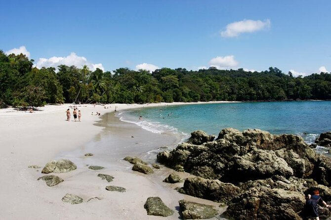 All Inclusive National Park Manuel Antonio with Binoculars - Key things to know before you go