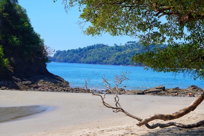 All Inclusive National Park Manuel Antonio with Binoculars - Meet-up in Quepos: keep it simple, arrive ready