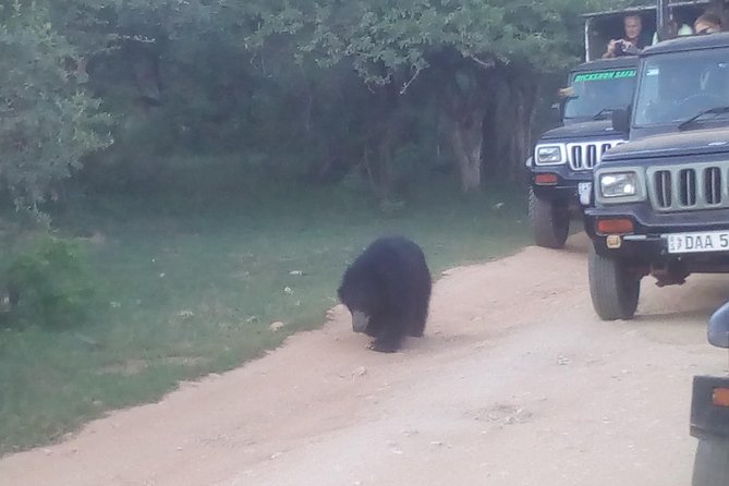 All inclusive Private jeep safari at Yala National park - Key Highlights You’ll Care About