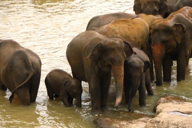 All inclusive Private jeep safari at Yala National park - Stop 2: Sithulpawwa Rajamaha Viharaya and the King Kavantissa Story