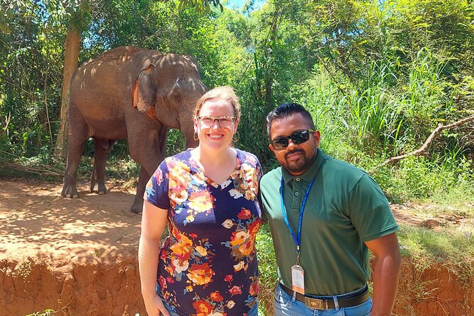 All Inclusive Udawalawe National Park Safari Day Tour from Colombo and Negombo - What You Might Spot Besides Elephants (Based on Real Sightings)