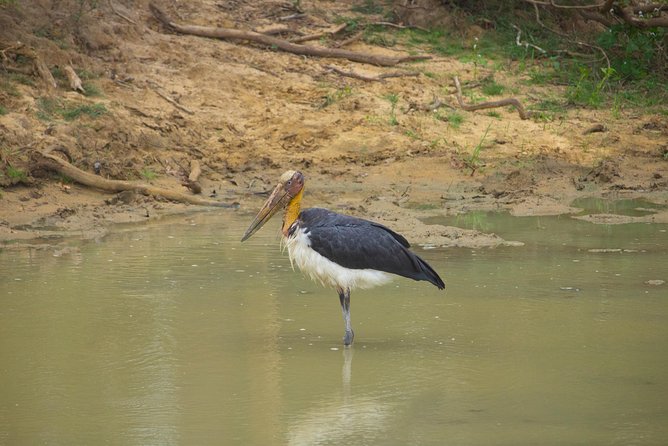 All Inclusive Yala National Park Jeep Safari from Colombo - All-inclusive means more than “tour package”