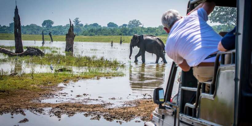 All inclussive Udawalawa National Park Safari From Colombo - Price and value: is $225 per person a fair deal