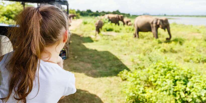 All inclussive Udawalawa National Park Safari From Colombo - The Colombo pickup and the 5-hour road trip you should plan for