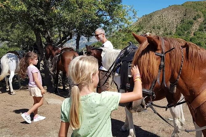 Amazing Horse Riding Experience at Vjosa National Park in Permet - How the Guides Handle Beginners (and the Confident Riders)
