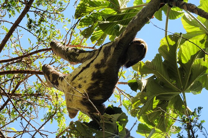 Amboro National Park Overnight Tour from Santa Cruz - Price and value: what $550 covers (and why it can be worth it)