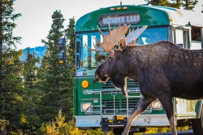 Anchorage: Kenai Fjords & Denali National Park 5 Day 4 Night Tour - Day 4 in Seward: Kenai Fjords Wildlife Day (Plus Optional Add-Ons)