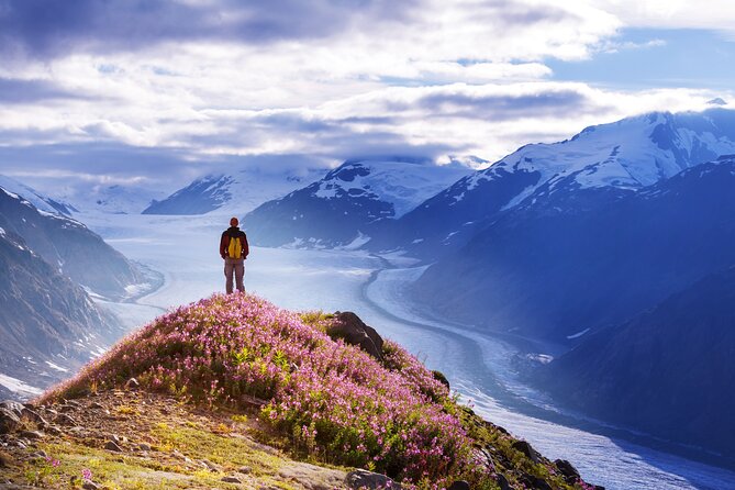 Anchorage: Kenai Fjords & Denali National Park 5 Day 4 Night Tour - Price and Value: What $2,599 Covers (and What It Doesn’t)
