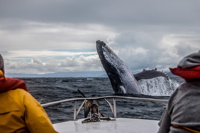 Anchorage: Kenai Fjords & Denali National Park 5 Day 4 Night Tour - Why the Guides Make or Break This Trip