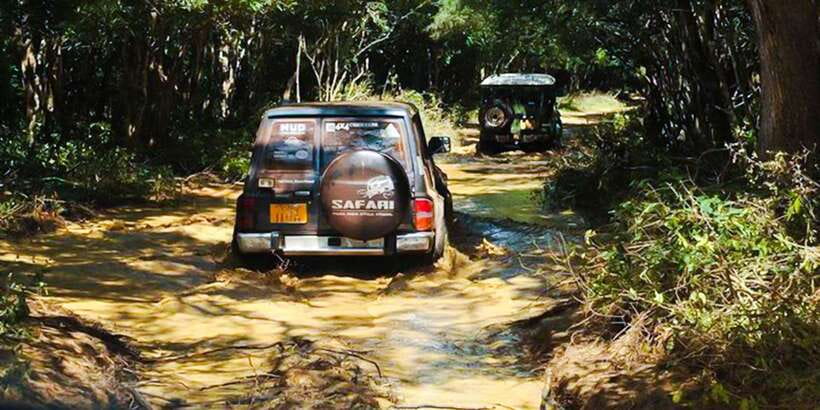 Anuradhapura: Full-Day Wilpattu All Inclusive Private Safari - Picnic lunch inside the park: real convenience without losing daylight