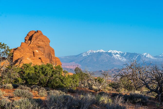 Arches National Park Half Day Tour - 4 Hours in Arches: the value of a half-day plan