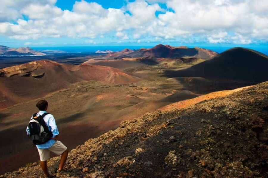 Arrecife/Playa Blanca: Timanfaya National Park Area Day Tour - Islet of Hilario Heat Shows and the Volcanoes Route