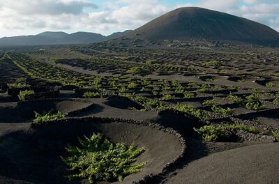 Arrecife/Playa Blanca: Timanfaya National Park Area Day Tour - Los Hervideros, Yaiza, El Golfo, and Green Lake Stops