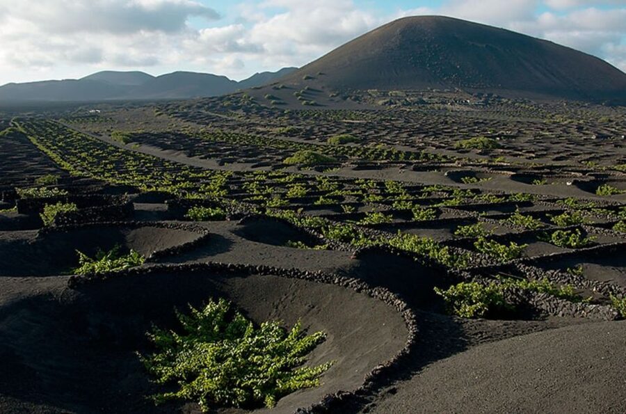 Arrecife/Playa Blanca: Timanfaya National Park Area Day Tour - Los Hervideros, Yaiza, El Golfo, and Green Lake Stops