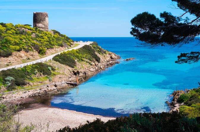 ASINARA ISLAND-TOUR full day Minivan in the National Park - Key highlights at a glance