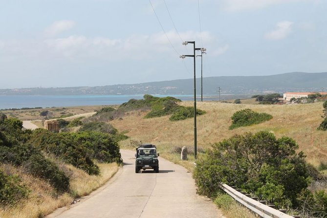 ASINARA ISLAND-TOUR full day Minivan in the National Park - Sea turtles at CRAMA: worth it, with a cash fee