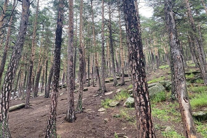 Astana: Burabay Oasis National Park Unforgettable Adventure - Mountain Bolektau: the viewpoint hike that actually delivers