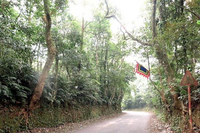 Ba Vi National Park Private Tour: Sightseeings & Jungle Hikking - Price and Logistics: Is $75 Good Value Here?