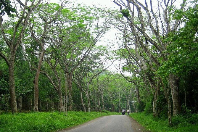 Ba Vi National Park Private Tour: Sightseeings & Jungle Hikking - Tan Vien Peak in Fog: When the Mountain Weather Turns the Tour