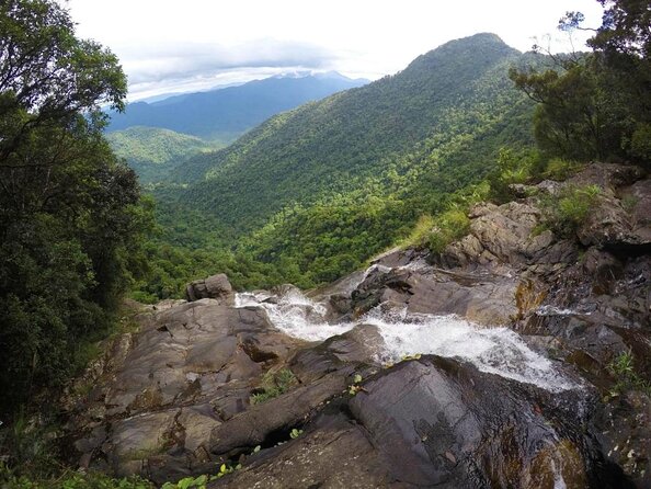 Bach Ma National Park trekking daily tour from Da Nang, Hoi An - Quick hits before you lace up