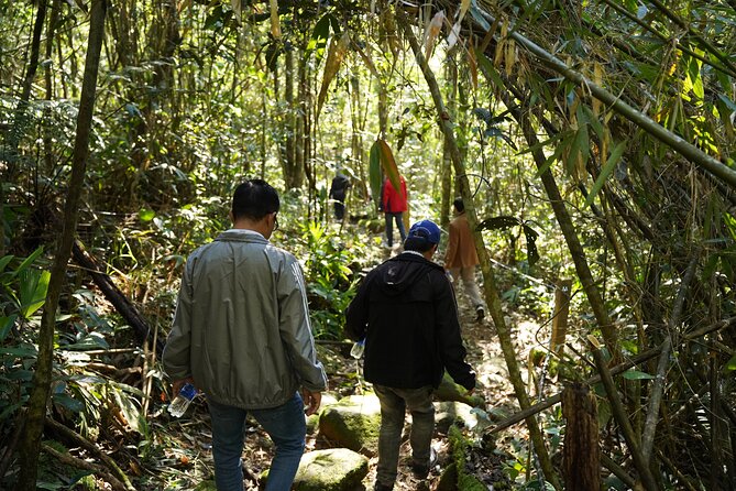 Bach Ma National Park trekking daily tour from Da Nang, Hoi An - Guides, Pace, and the Personal Touch (Why This Feels Small)