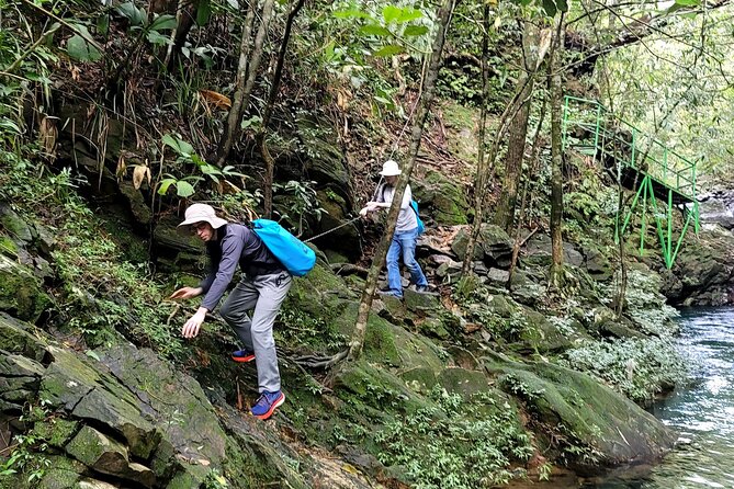 Bach Ma National Park trekking daily tour from Da Nang, Hoi An - Weather Can Change Everything: Fog, Rain, and View Expectations