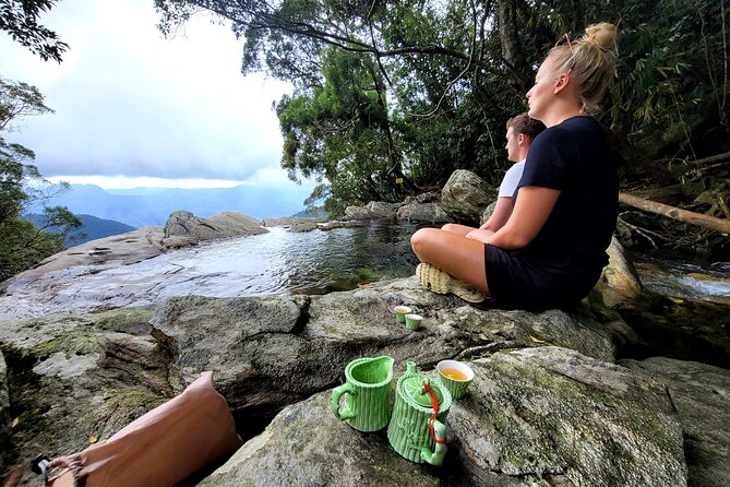 Bach Ma National Park trekking deluxe daily tour from Hue - Guides and pacing: why the day feels smooth (and sometimes isn’t)