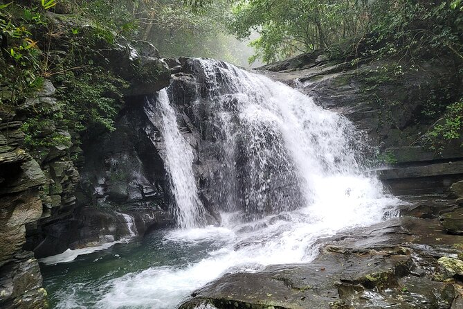 Bach Ma National Park trekking deluxe daily tour from Hue - Price and value: what $49 really covers
